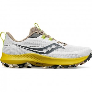 Men's Saucony Peregrine 13 Trail Running Shoes White | SOUTHAFRICA-BQI