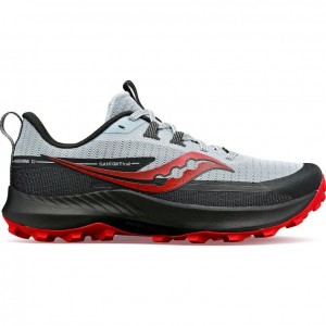 Men's Saucony Peregrine 13 Trail Running Shoes White / Black | SOUTHAFRICA-JYN