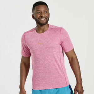 Men's Saucony Stopwatch Short Sleeve T-Shirt Pink | SOUTHAFRICA-PRI