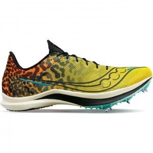 Women's Saucony Endorphin Cheetah Running Shoes Multicolor | SOUTHAFRICA-TEO