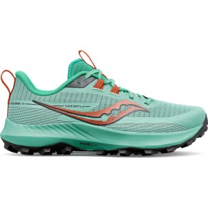 Women's Saucony Peregrine 13 Trail Running Shoes Turquoise | SOUTHAFRICA-KMJ