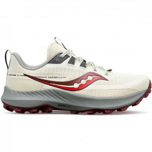 Women's Saucony Peregrine 13 Trail Running Shoes White | SOUTHAFRICA-BGW