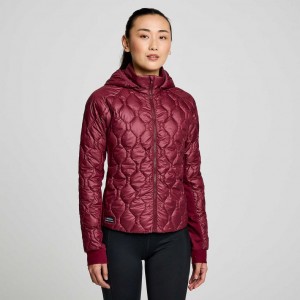 Women's Saucony Solstice Oysterpuff Jacket Burgundy | SOUTHAFRICA-DPF