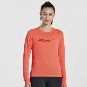 Women's Saucony Stopwatch Graphic Long Sleeve T-Shirt Orange | SOUTHAFRICA-NCQ