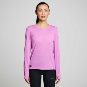 Women's Saucony Stopwatch Graphic Long Sleeve T-Shirt Purple | SOUTHAFRICA-SOW