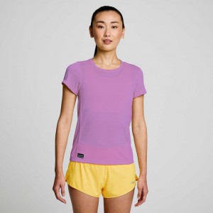 Women's Saucony Stopwatch Short Sleeve T-Shirt Purple | SOUTHAFRICA-KXH