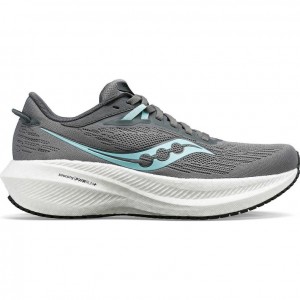 Women's Saucony Triumph 21 Running Shoes Grey | SOUTHAFRICA-AUJ