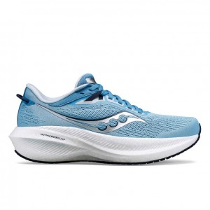 Women's Saucony Triumph 21 Running Shoes Blue | SOUTHAFRICA-GWA