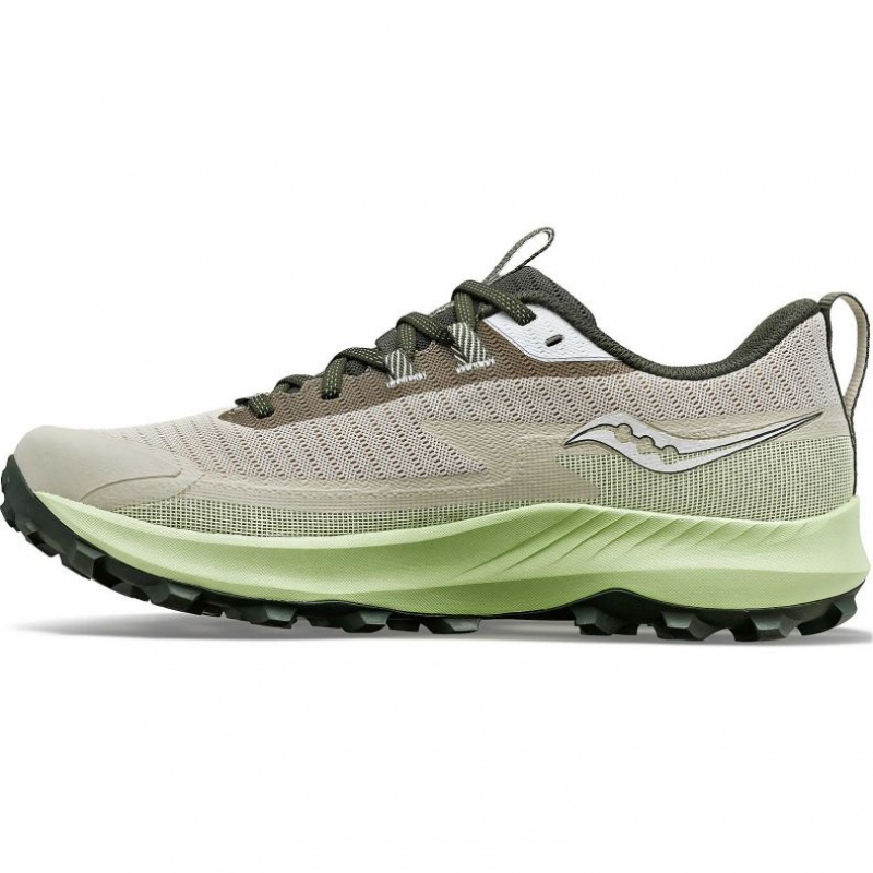 Men's Saucony Peregrine 13 GTX Running Shoes Grey / Mint | SOUTHAFRICA-LUE