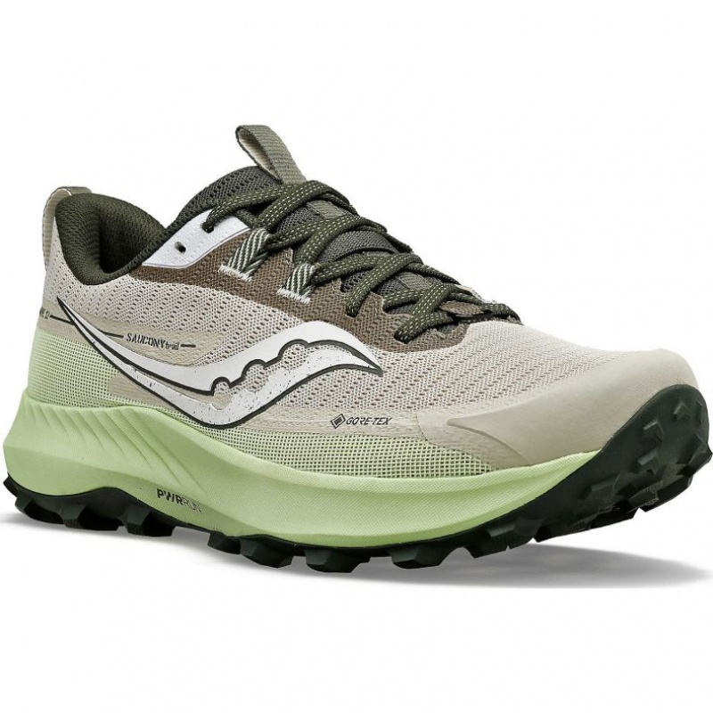 Men's Saucony Peregrine 13 GTX Running Shoes Grey / Mint | SOUTHAFRICA-LUE