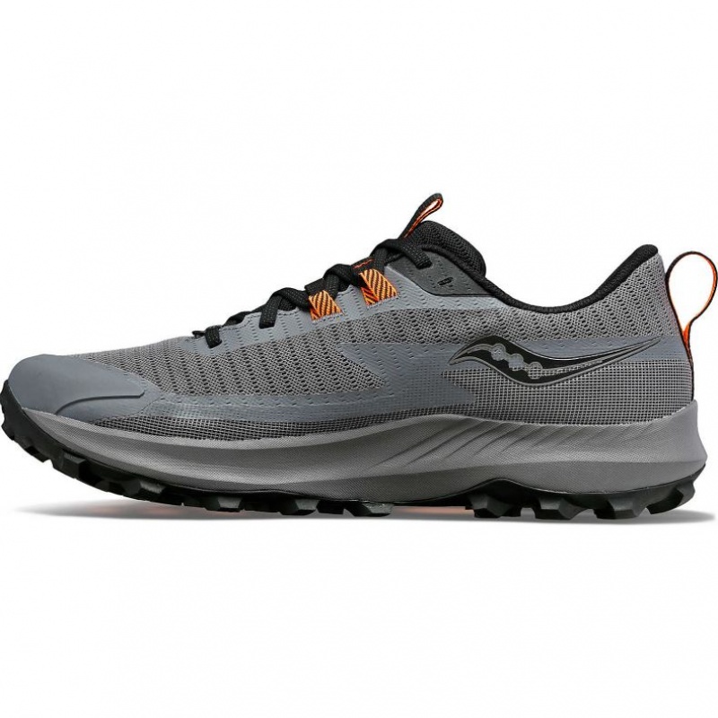 Men's Saucony Peregrine 13 GTX Trail Running Shoes Grey | SOUTHAFRICA-WDB