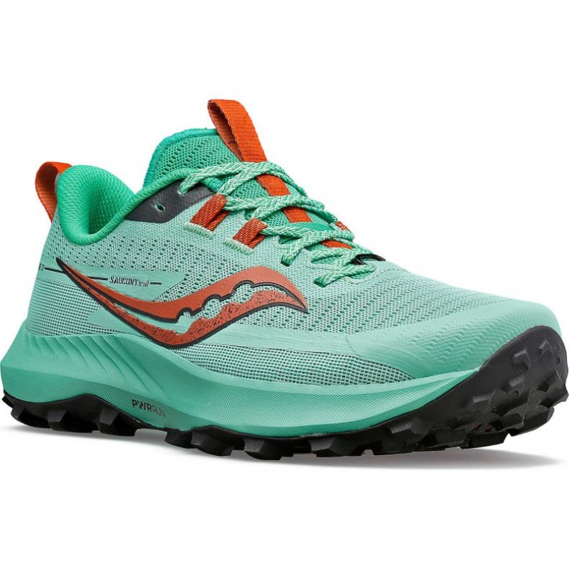 Women's Saucony Peregrine 13 Trail Running Shoes Turquoise | SOUTHAFRICA-KMJ