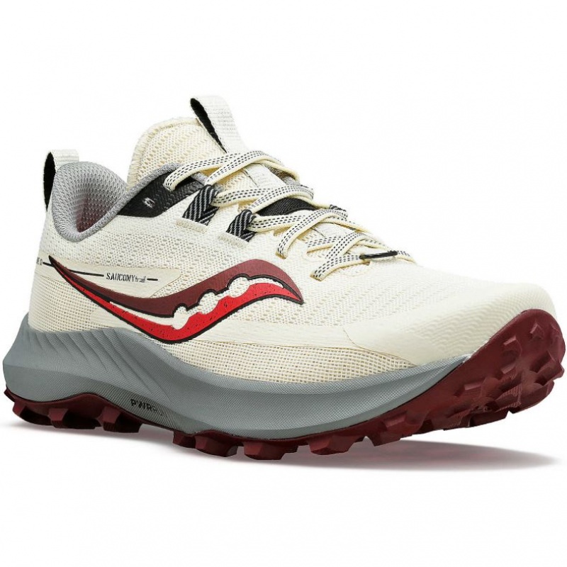 Women's Saucony Peregrine 13 Trail Running Shoes White | SOUTHAFRICA-BGW